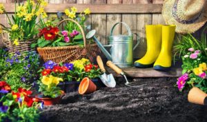 a picture of a garden with flowers, watering cans and wellies